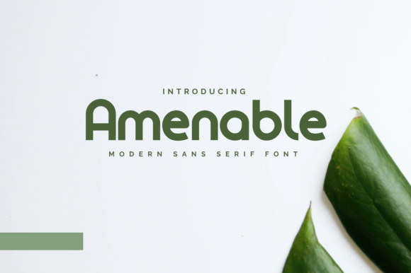 Amenable: A Modern Sans Serif Font