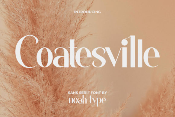 Coatesville: A Modern Font for Clear Campaigns