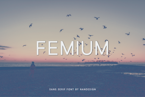 Femium: A Modern Sans Serif Font