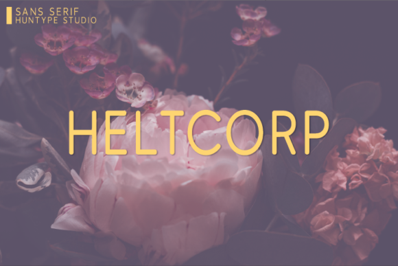 Heltcorp: A Modern Font for Business Success