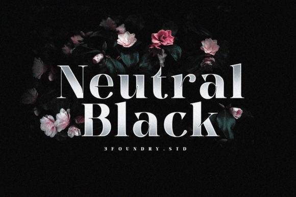 Neutral Black Font for Web Design